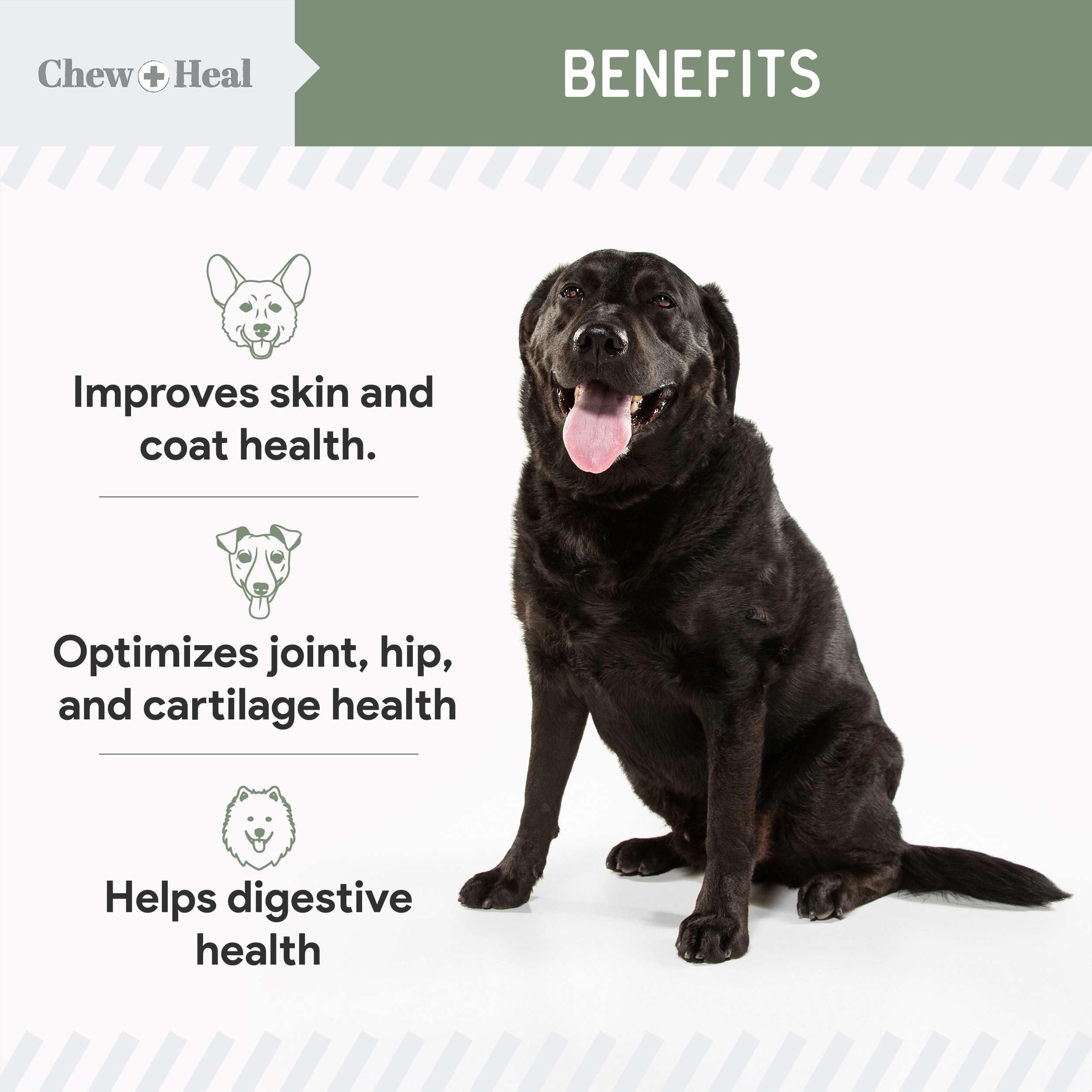 All in 1 Dog Vitamins and Supplements, 120 Soft Chew Multivitamins with Glucosamine, Probiotics, Omega Fish Oil -for Skin, Coat,